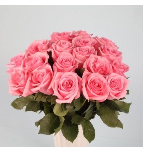 Роза розовая  50-60см